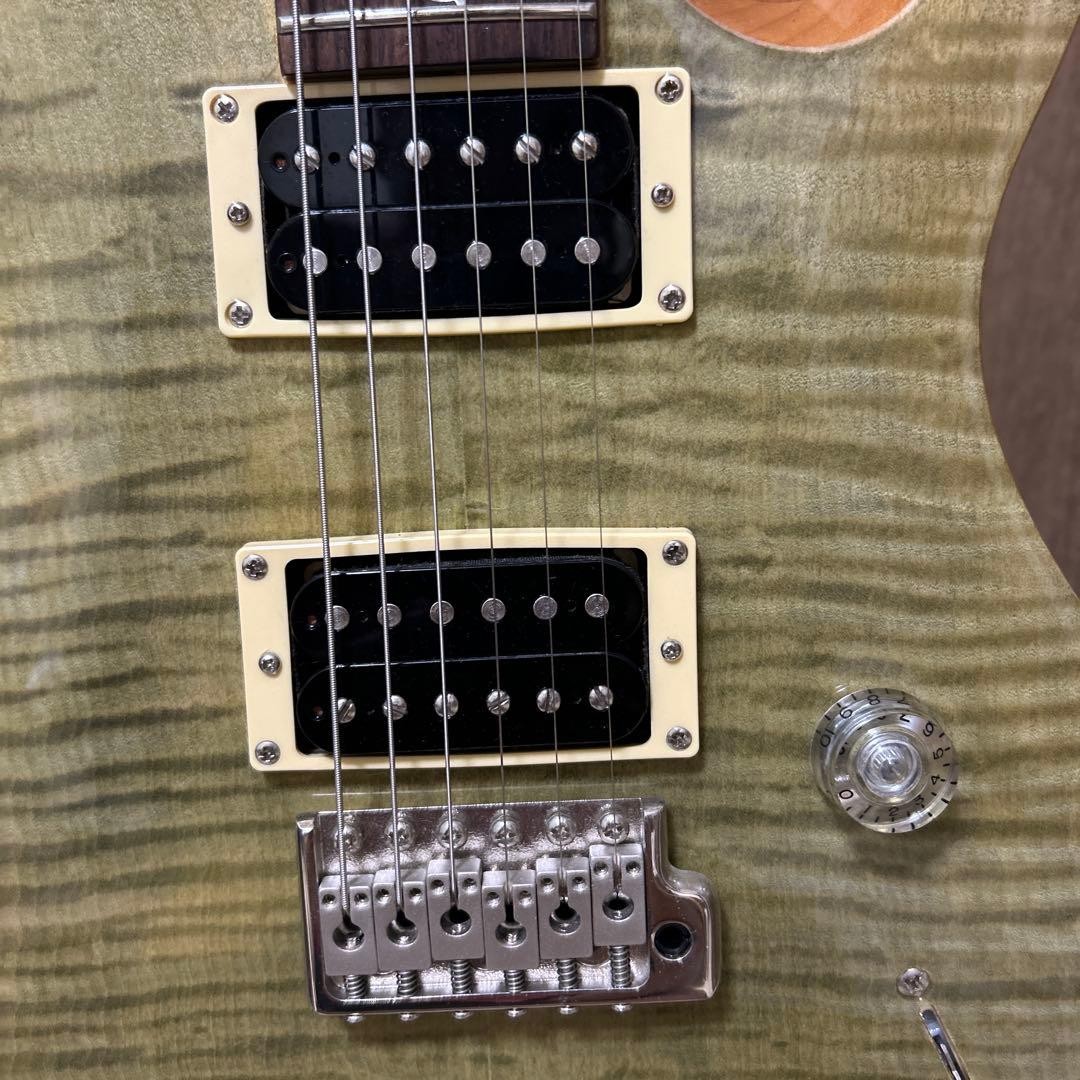 PRS SE Custom 24 Electric Guitar Safe packing!