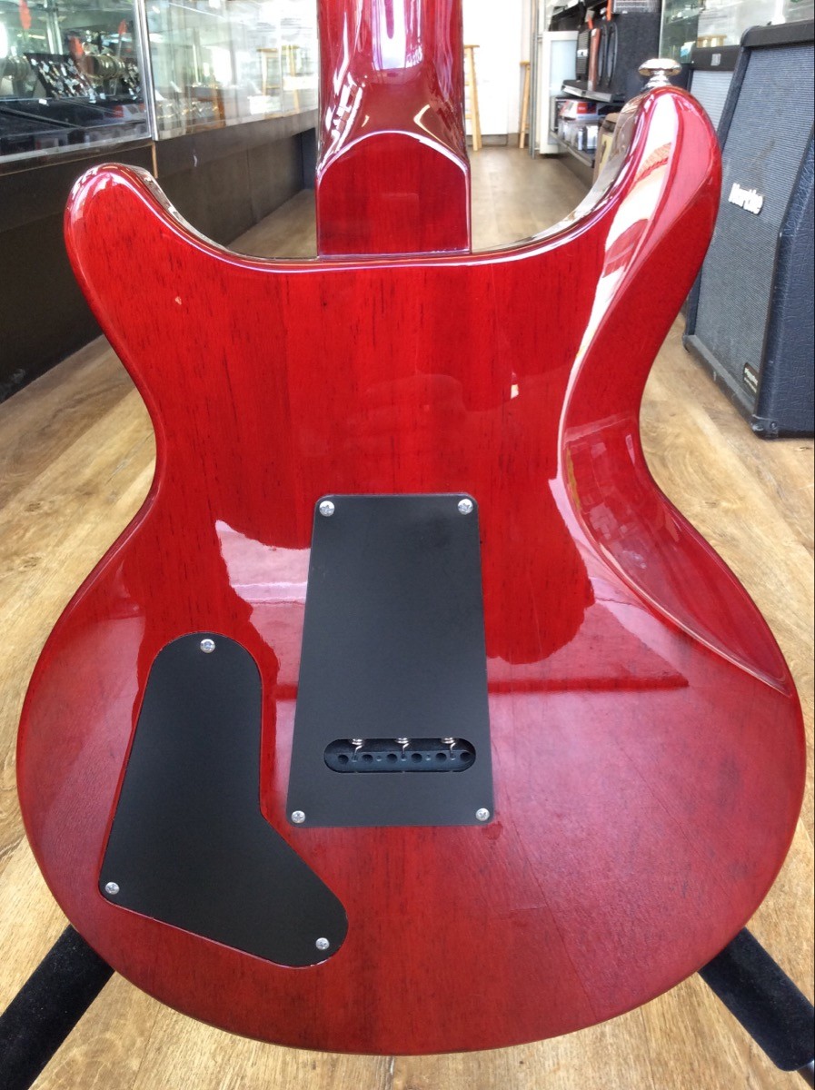 PAUL REED SMITH SE SANTANA (SBL008007)