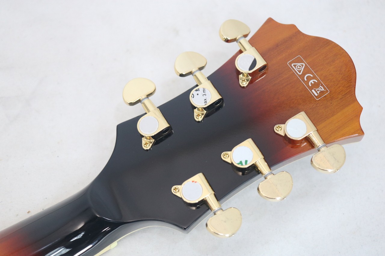 Ibanez AF95-BS Electric Guitar #BE14237