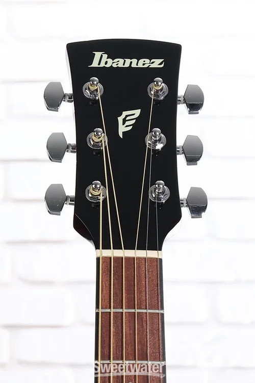Ibanez PN50 Acoustic-electric Guitar – Open Pore Natural