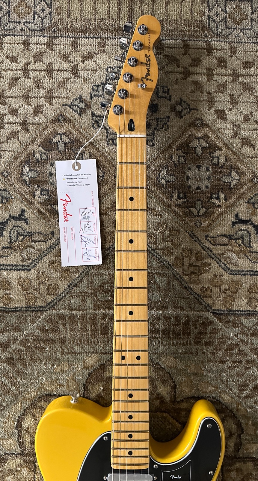 Fender Player II Modified Telecaster w/ Deluxe Gig Bag & Free Pro Setup