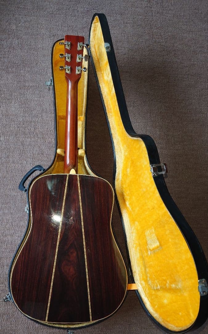 takamine Elite tw-30 acoustic guitar with hard case