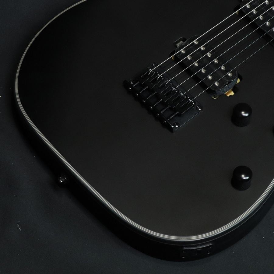 Ibanez RG421EX-BKF Black Flat with gig bag electric guitar