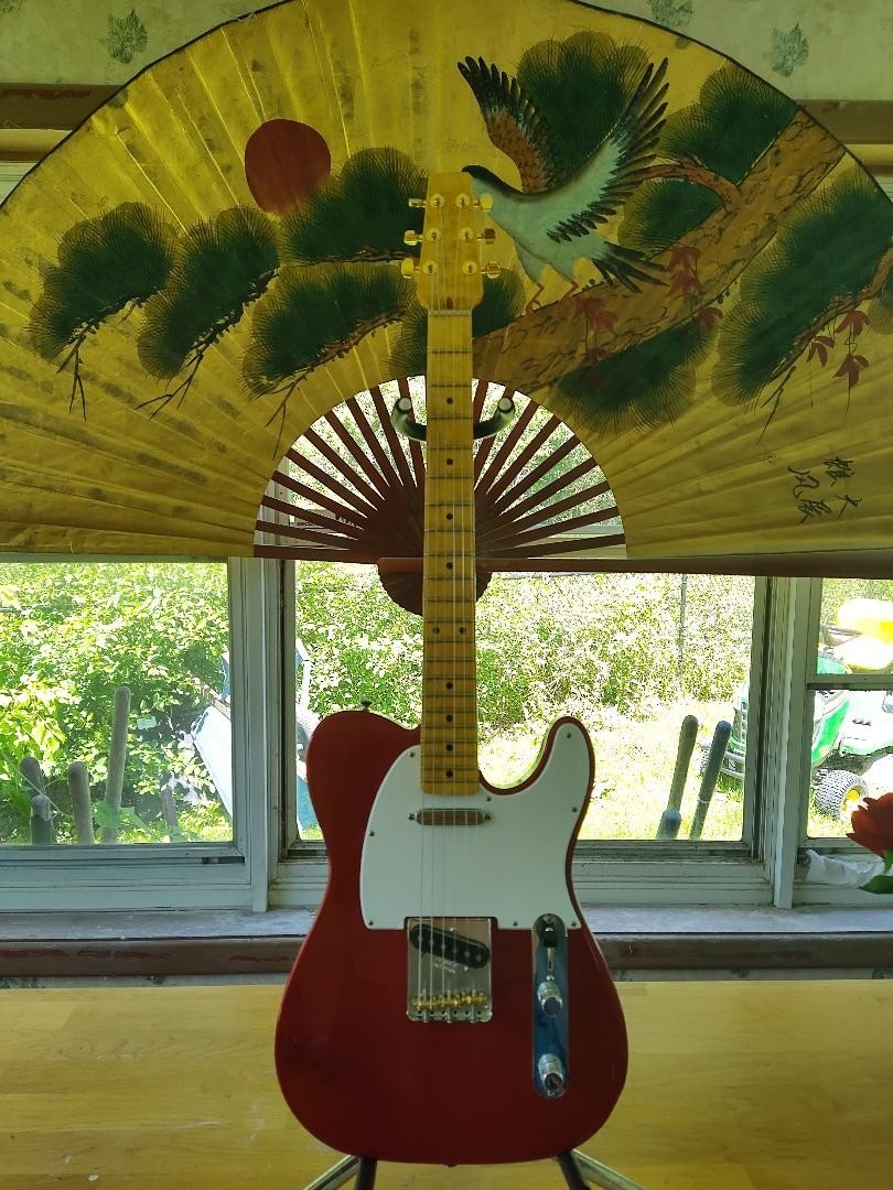 Fender Snakehead Telecaster 16 inch radius NECK FREE SHIPPING.