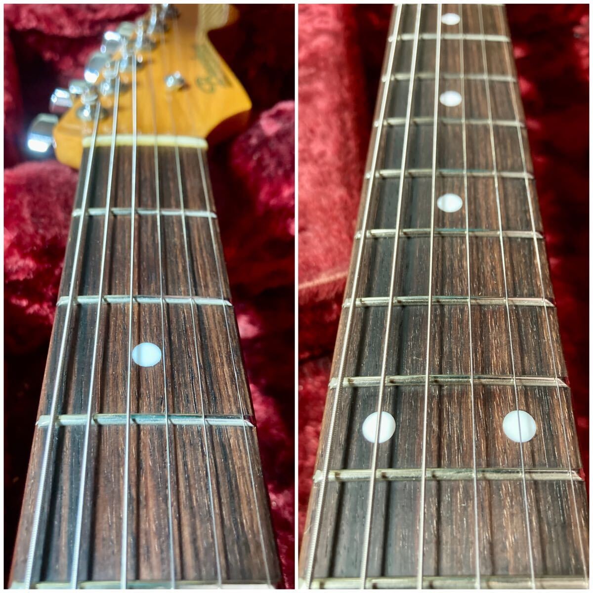 Bacchus BST BEGINNING OF THE NEW TRADITION ST Type Bacchus Strat Not Catalog