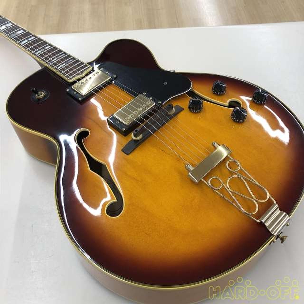 Vantage Full Hollow Body Guitar 655 JPN USED