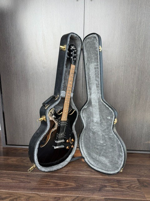 Oscar Schmidt OE30 Semi-Hollow Electric Guitar w/Hard Case Excellent Condition!