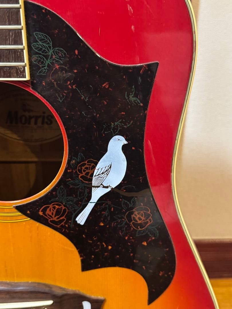 Rare Morris WD-25 acoustic guitar hummingbird type