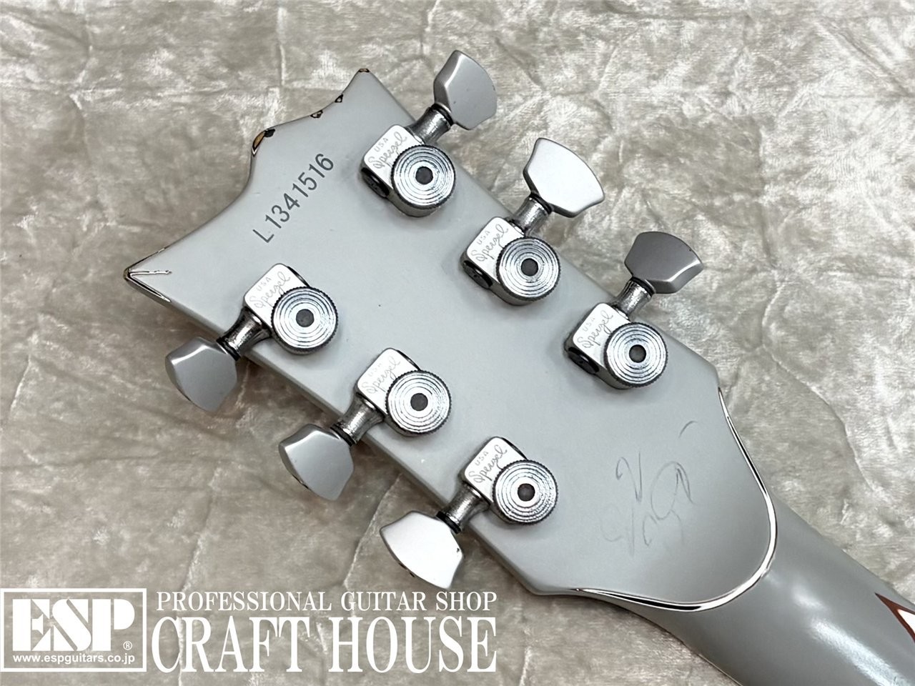 LTD Trucks Used Electric Guitar 2010