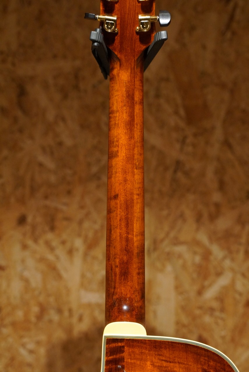 Eastman AR-805CE