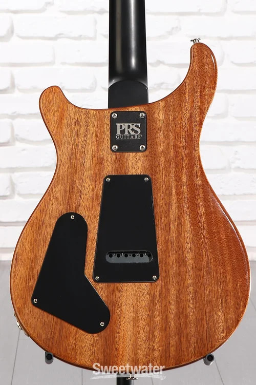 PRS CE 22 Limited Edition Electric Guitar – Sprayer’s Choice