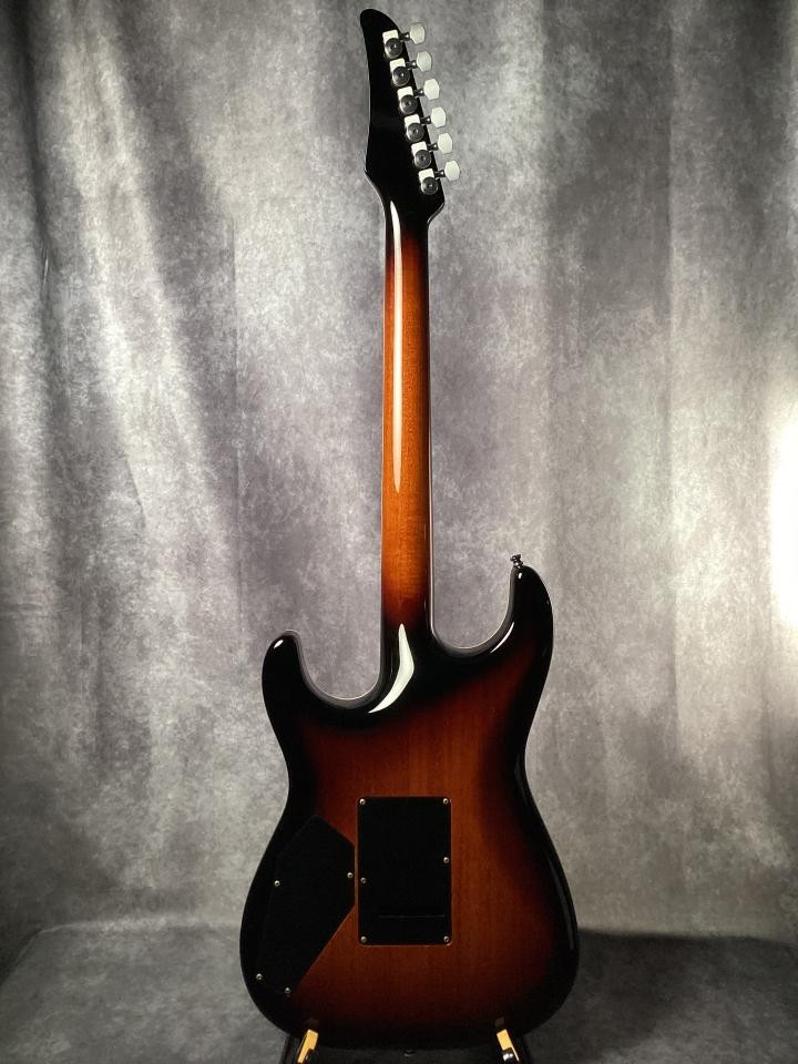 Combat ST-WARM Electric Guitar High-End Custom Model
