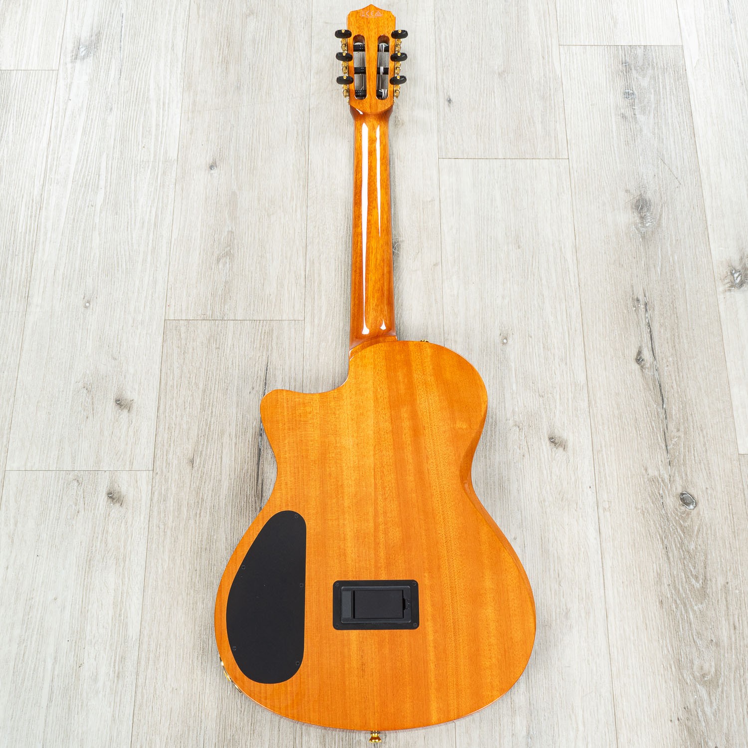 Cordoba Stage Electric Nylon String Guitar, Pau Ferro Fretboard, Natural Amber