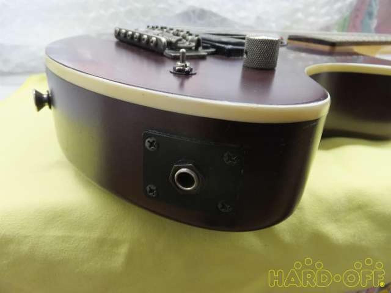 FERNANDES ZO-3T Electric Guitar with Built-in Amplifier