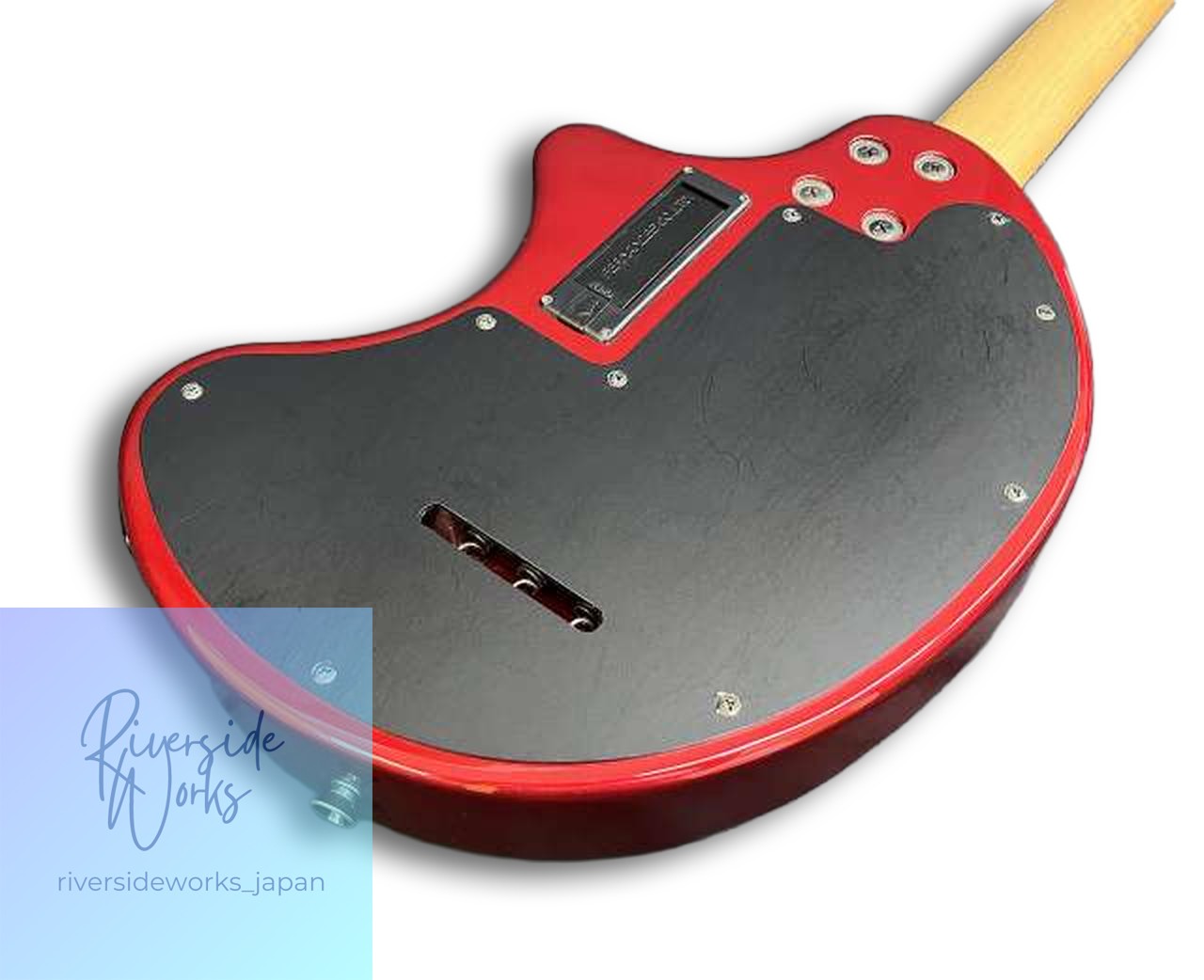 Fernandez Portable Indoor/Outdoor Amp Guitar ZO-3 Talent