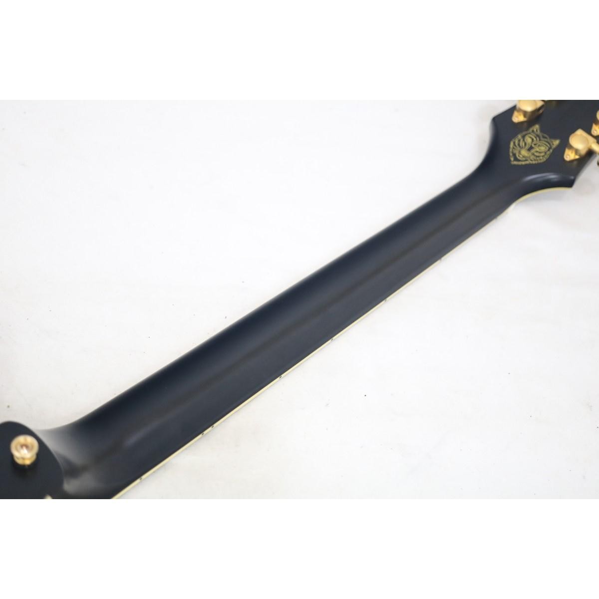 Authentic EPIPHONE EMILY WOLFE SHERATON #270-004-363-4252