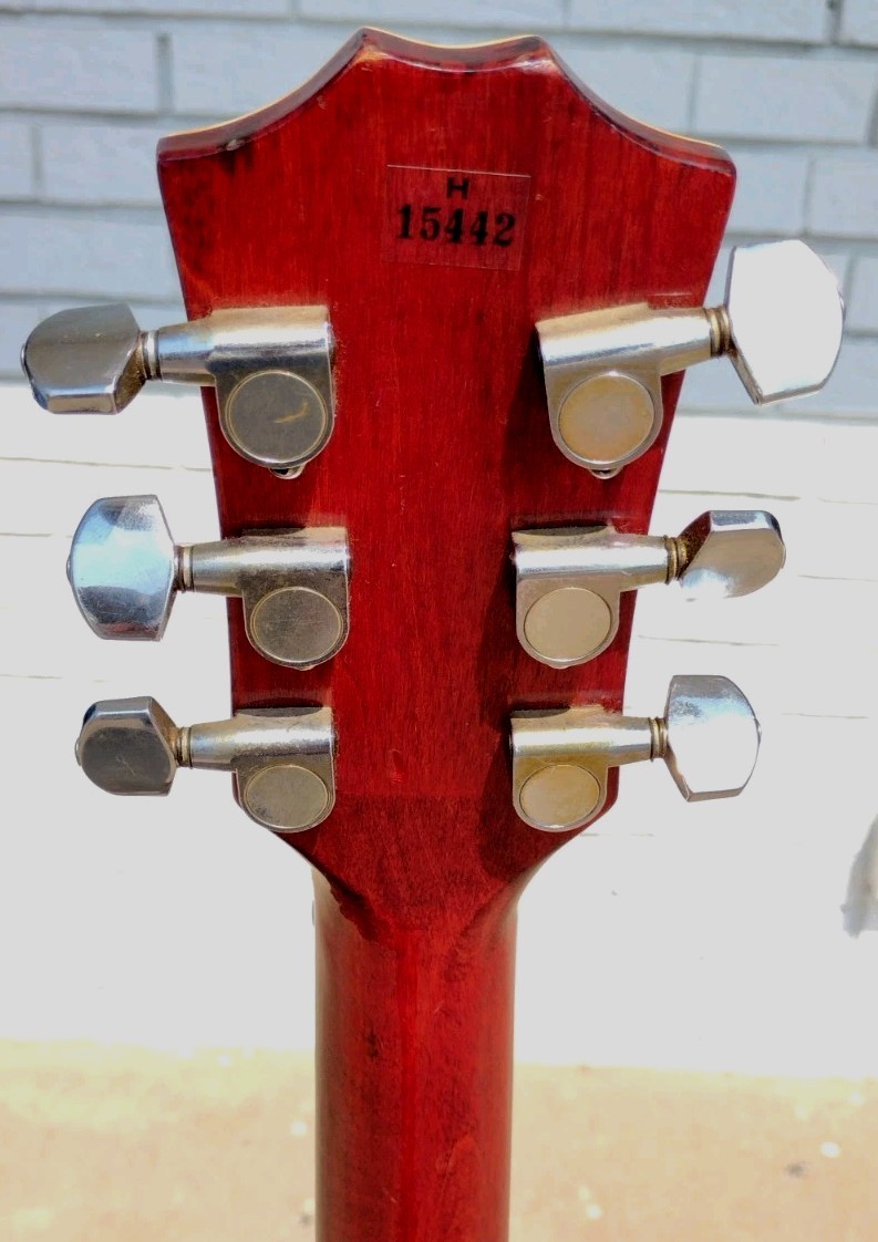1980 Arbor Les Paul Guitar w/Gigbag! -LL
