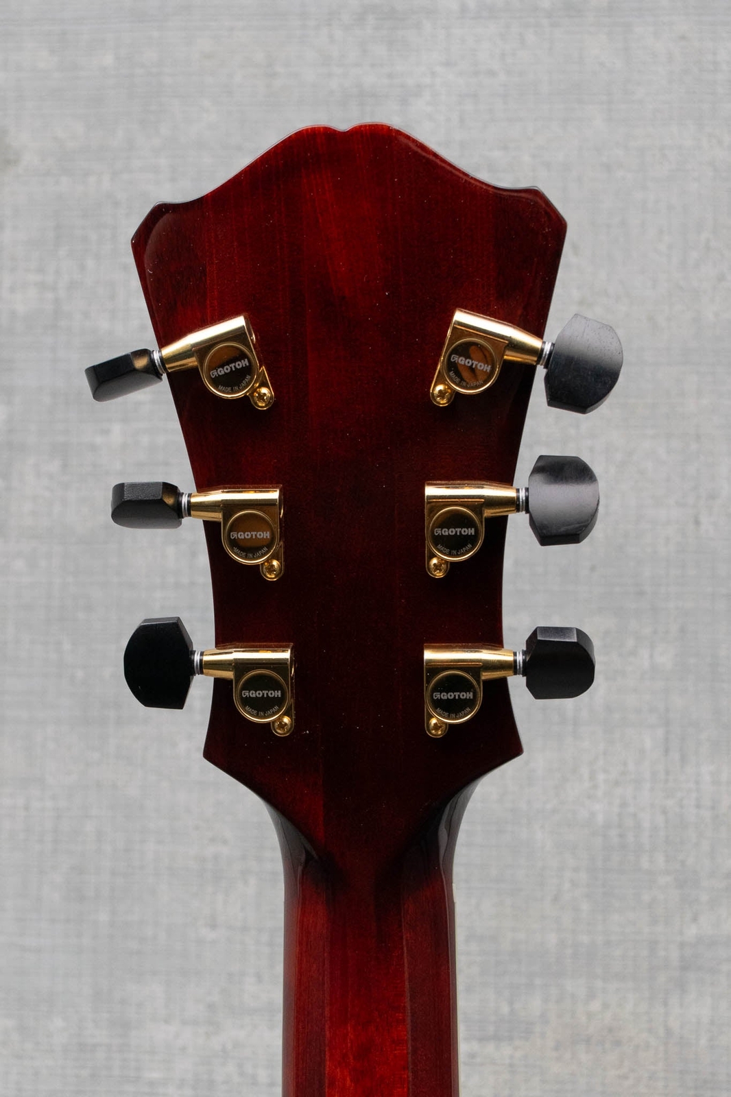 Eastman AR810CE