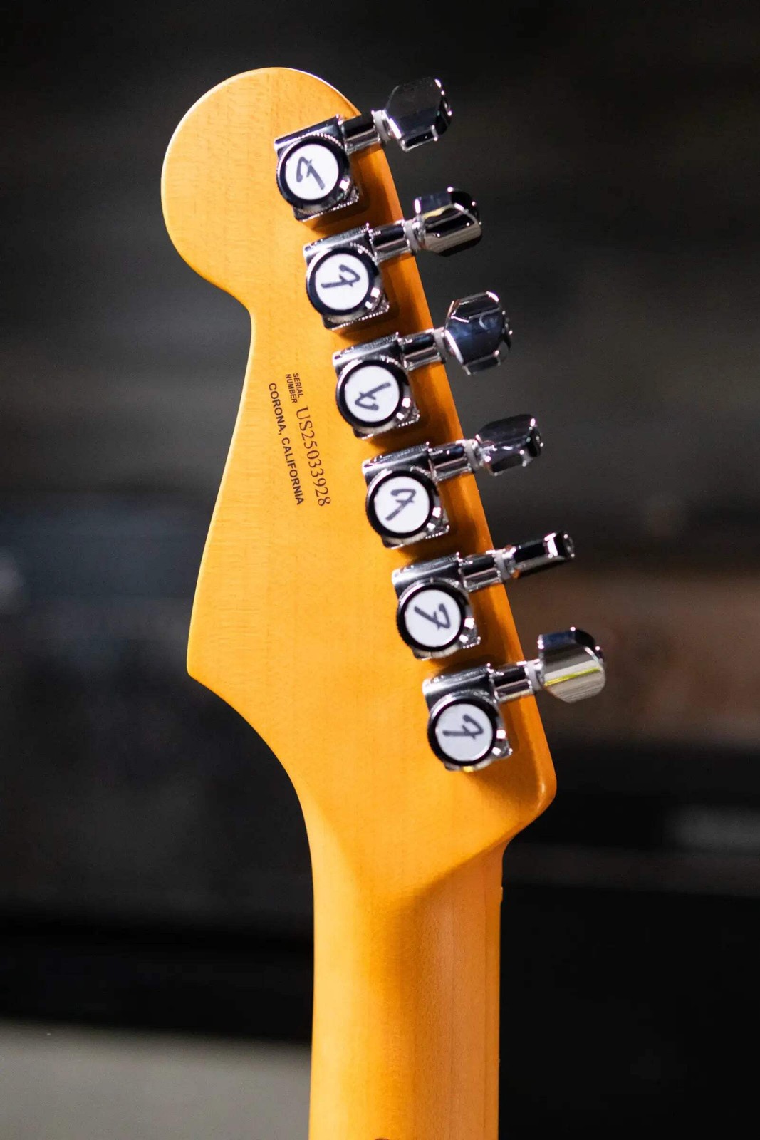 Fender American Ultra II Stratocaster HSS Electric Guitar – Solar Flare with Har