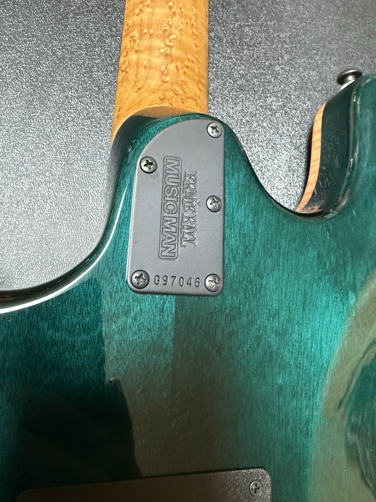 2021 Ernie Ball Sabre- Gator Burst