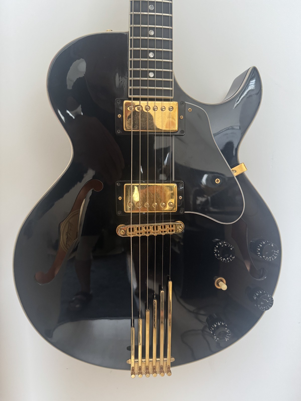 Gibson Les Paul Howard Roberts Fusion