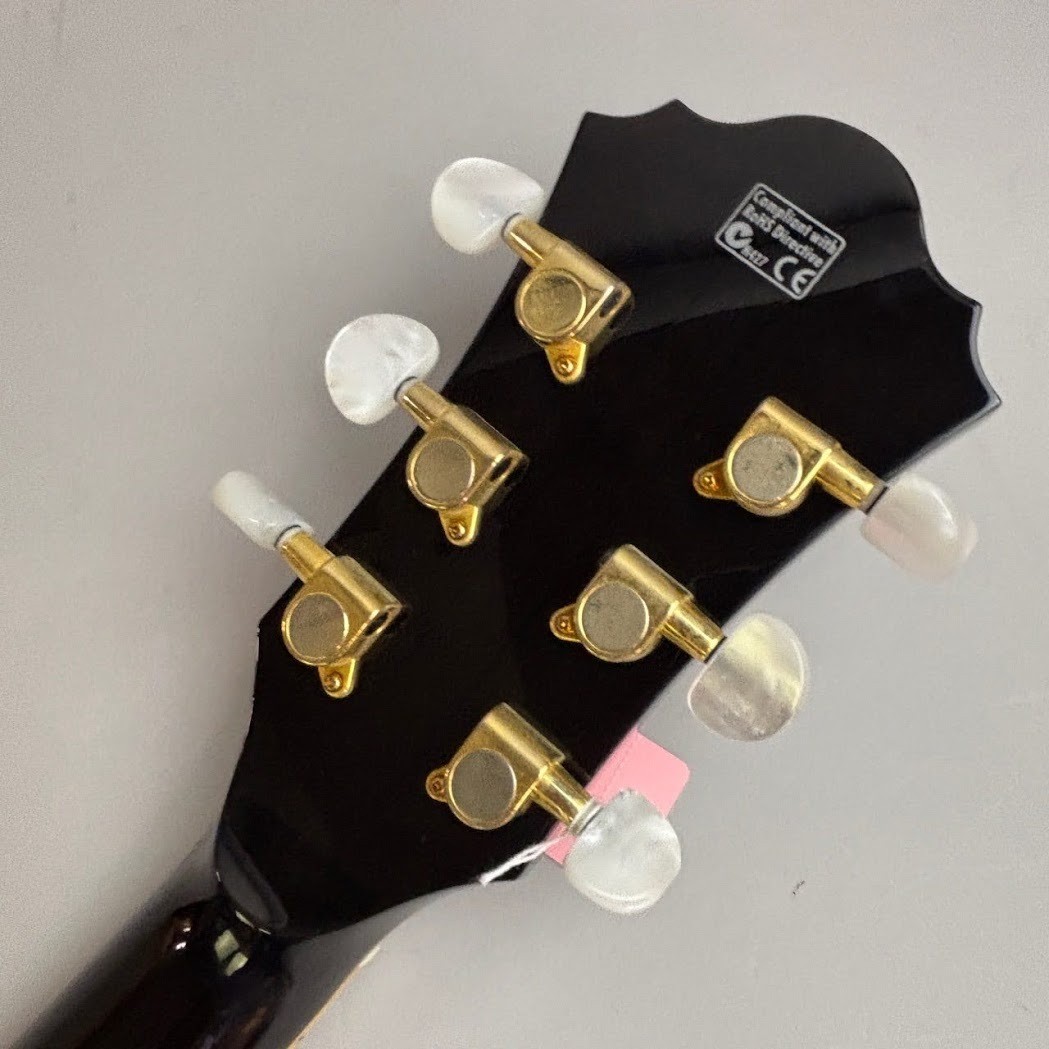 Ibanez AF105-LBK Used Electric Guitar [AUTH]