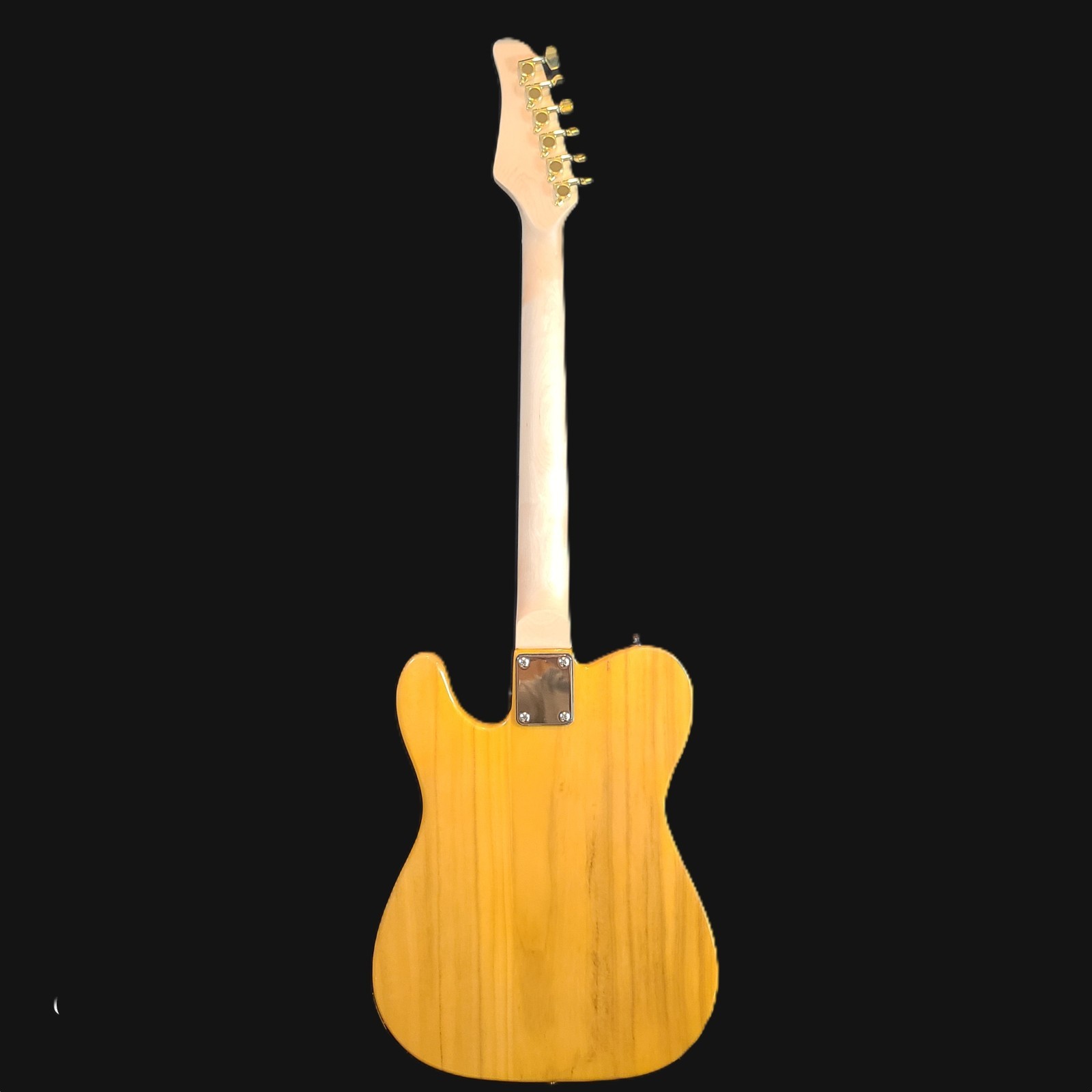 Southwest Acoustic Light Heavyweight Telecaster – 5 lbs 14 oz – Gold Hardware –