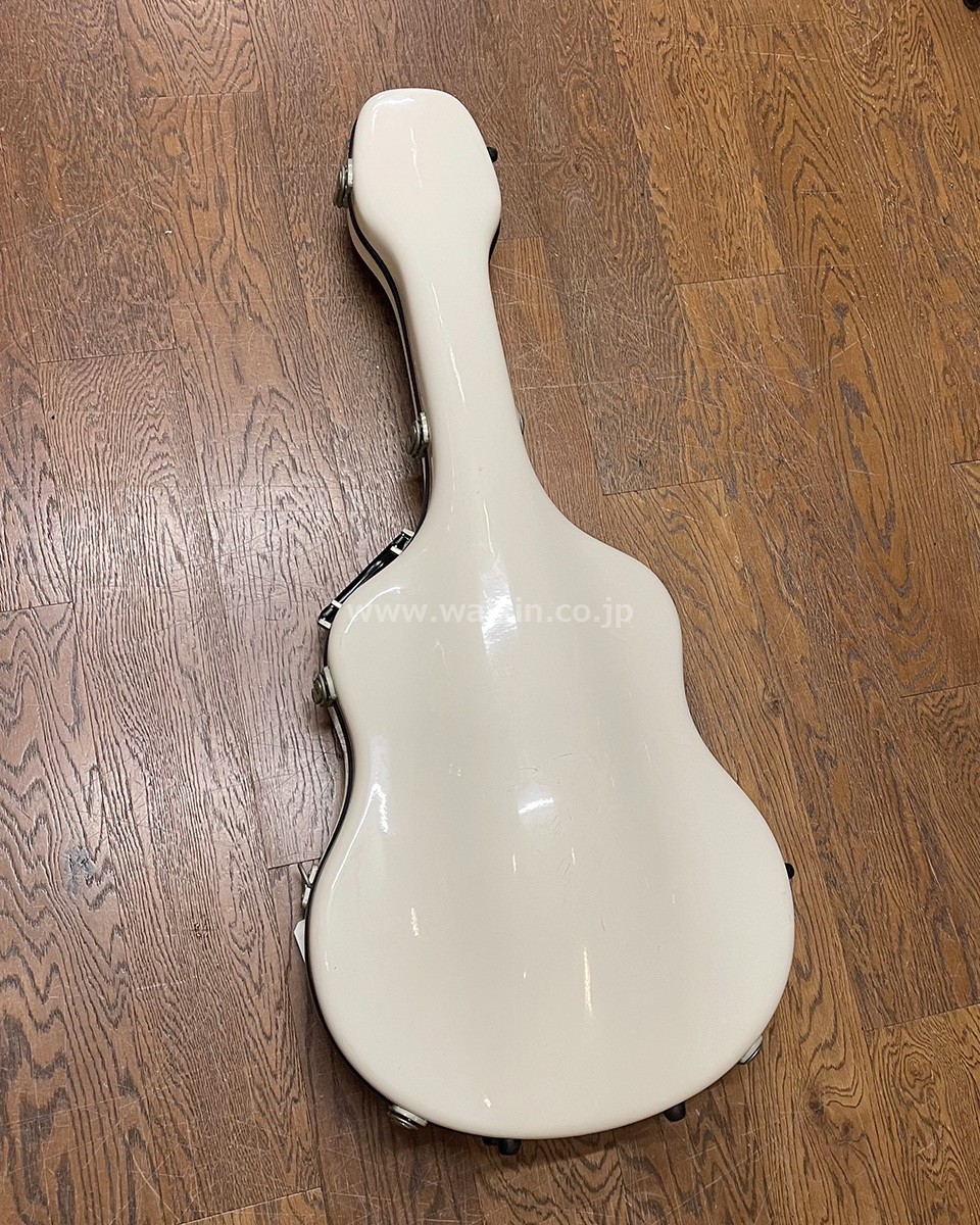 Eastman AR910CE