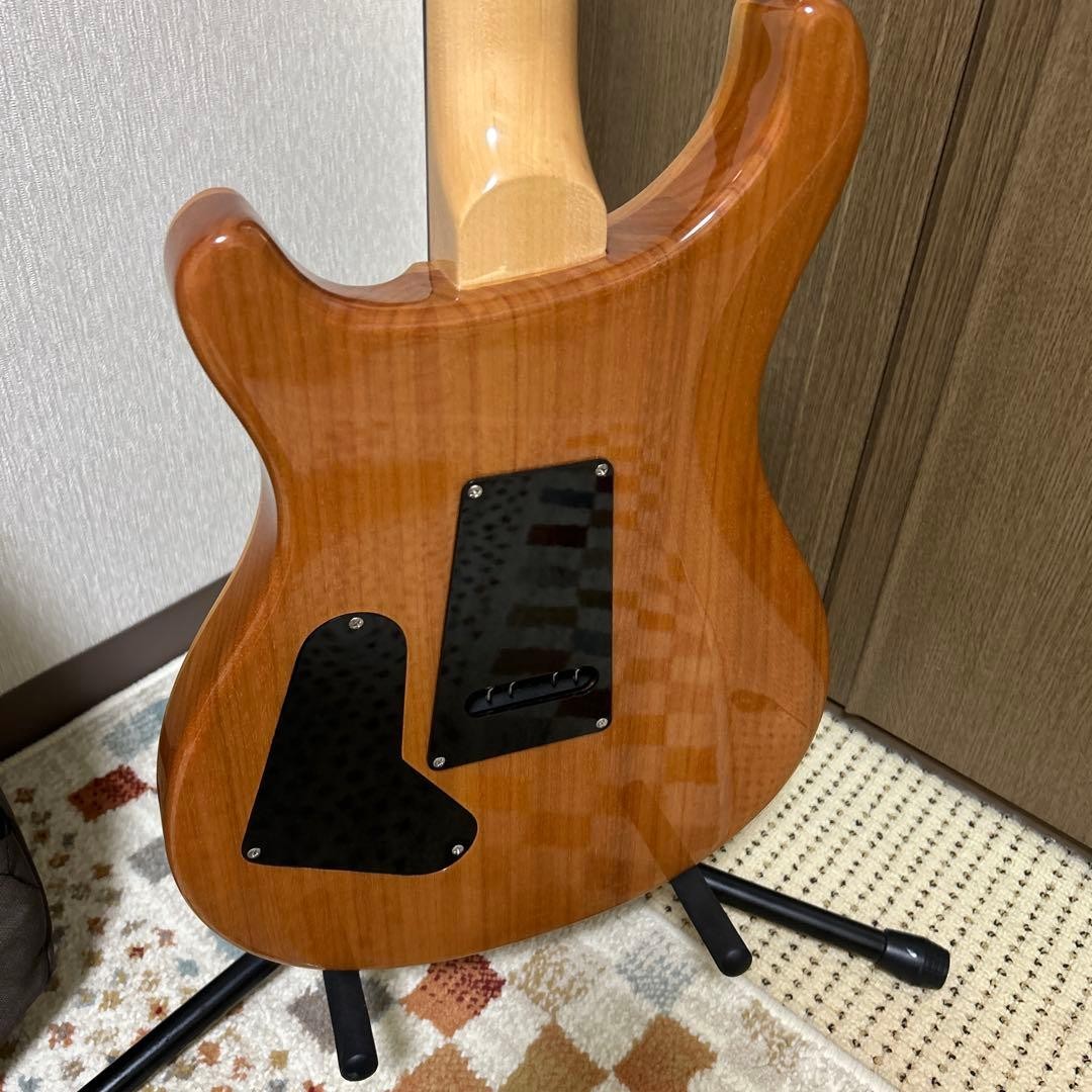 PRS SE Custom 24 Electric Guitar Safe packing!