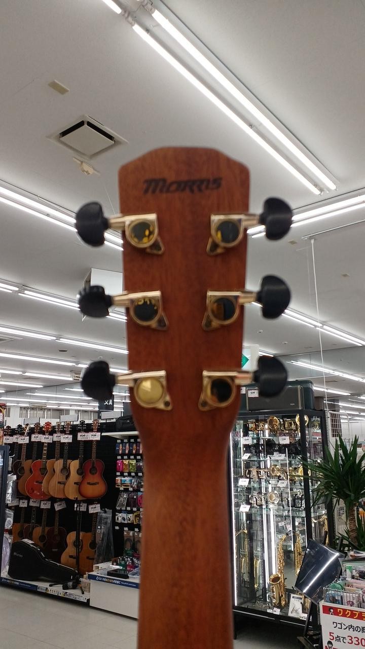 Morris SA-40 Acoustic Guitar Solid Spruce Top w/ Case Discontinued Product