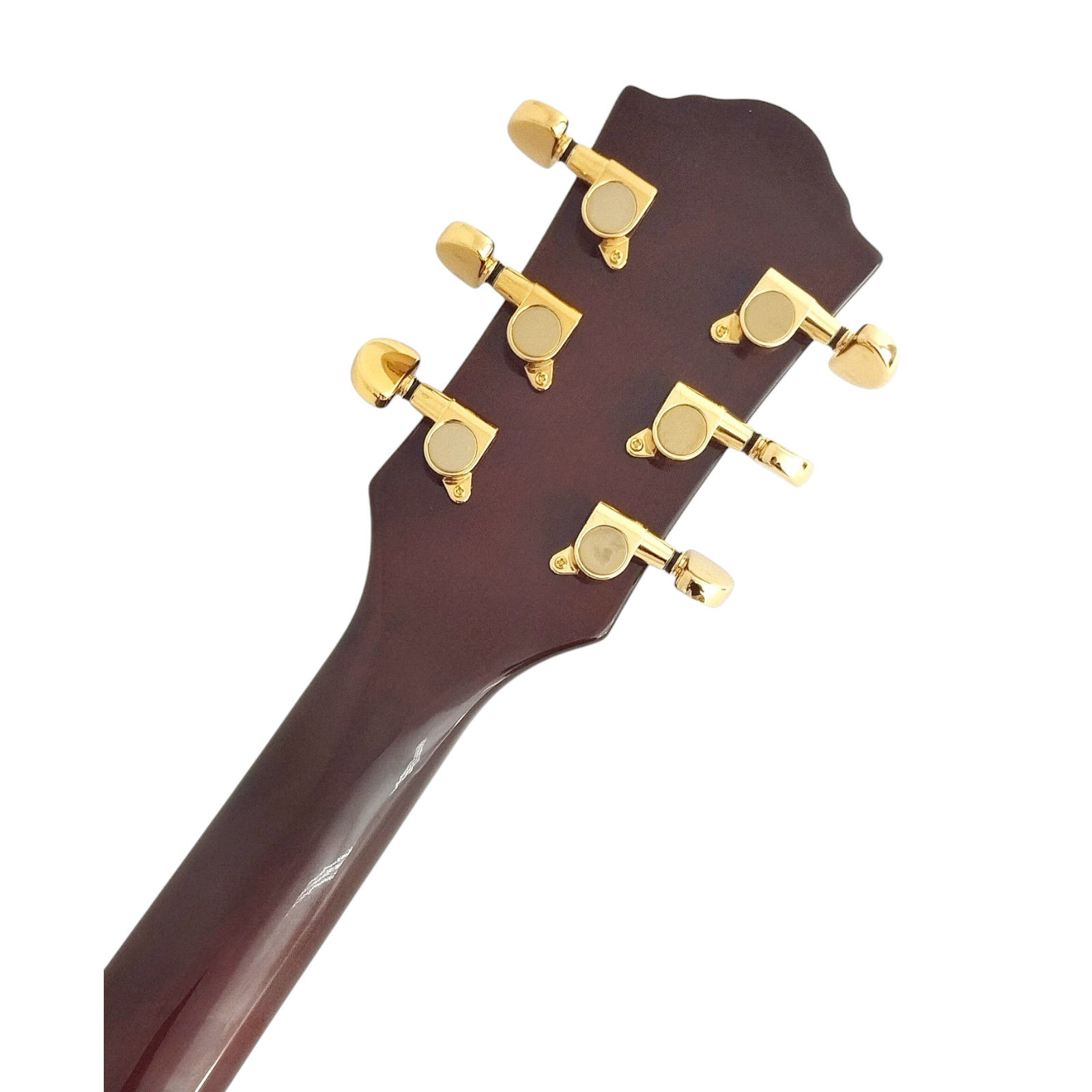 Haze SEG227GC Spalted Maple Veneer Finish, Haze LP Style Electric Guitar