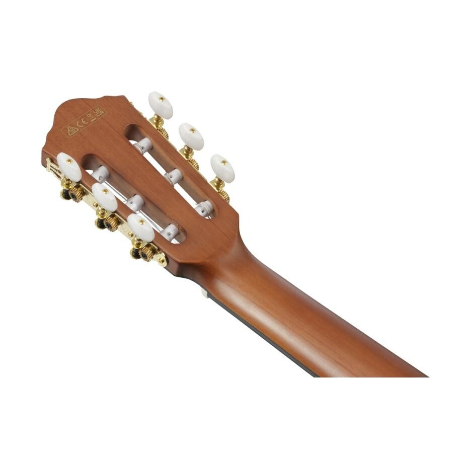 Ibanez FRH10N-BSF Nylon Electric Guitar Brown Sunburst Flat FR Hollow Body