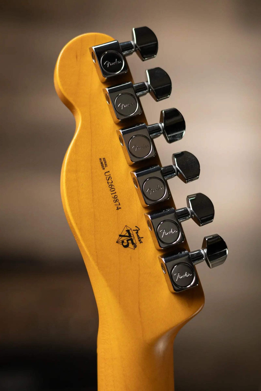 Fender American Professional II Telecaster Electric Guitar – Miami Blue with Har