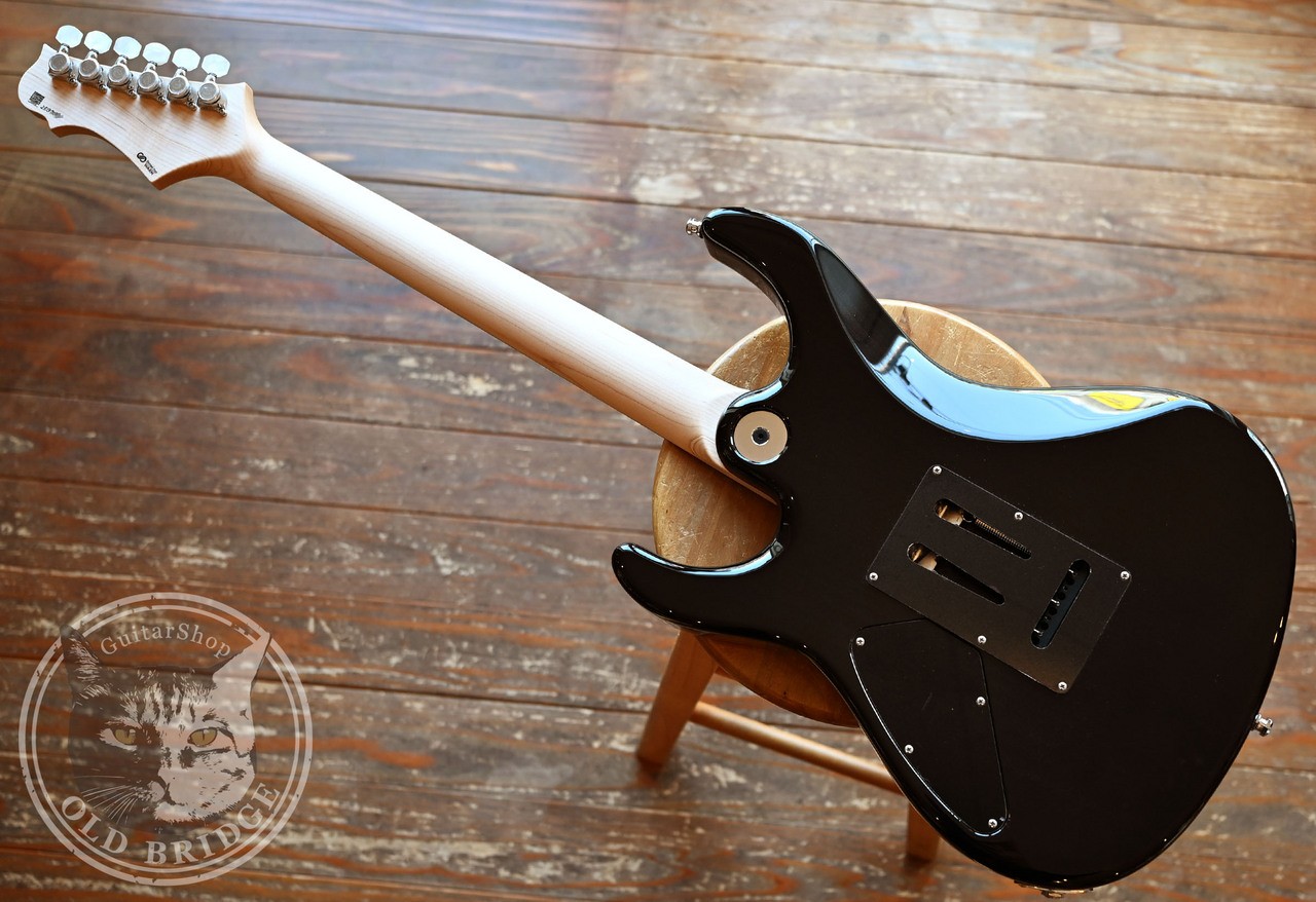Freedom Custom Hydra 24F Deep Sea Electric Guitar Used