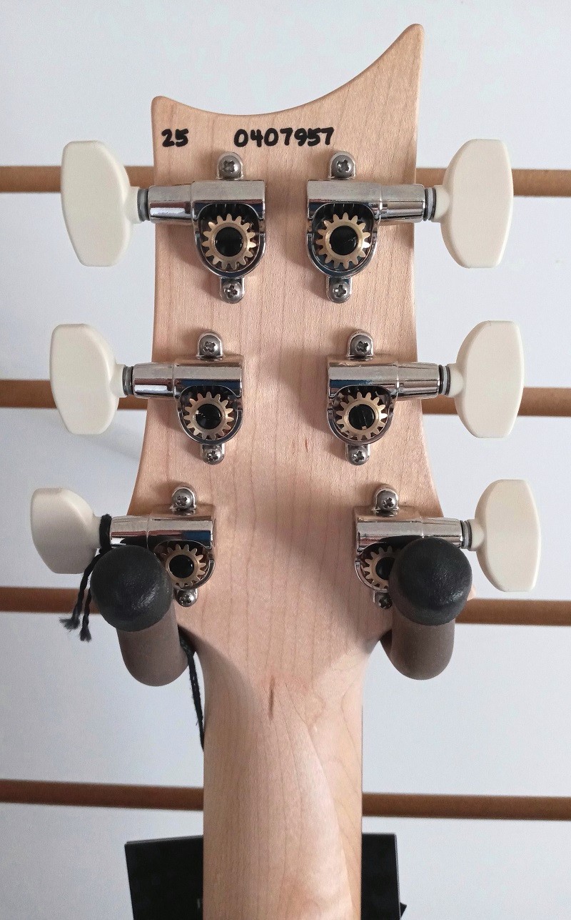 Paul Reed Smith PRS Swamp Ash Special Guitar White Doghair Smokeburst Rosewood