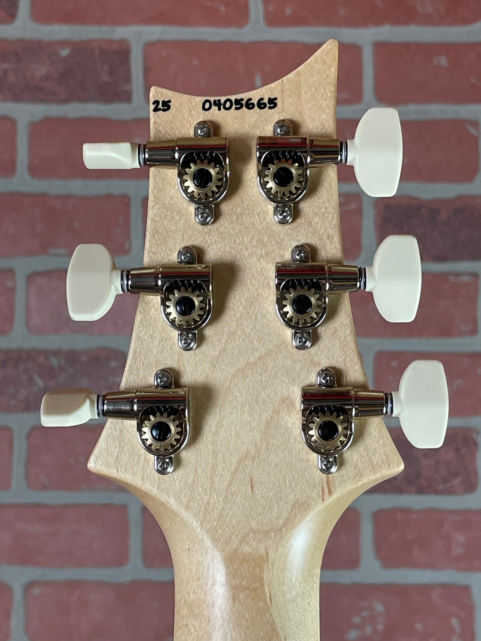 PRS Swamp Ash Special Electric Guitar – Black Doghair Smokeburst