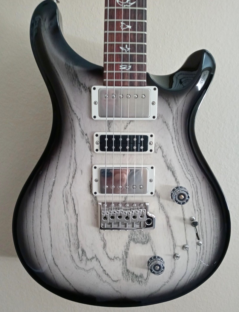 Paul Reed Smith PRS Swamp Ash Special Guitar White Doghair Smokeburst Rosewood
