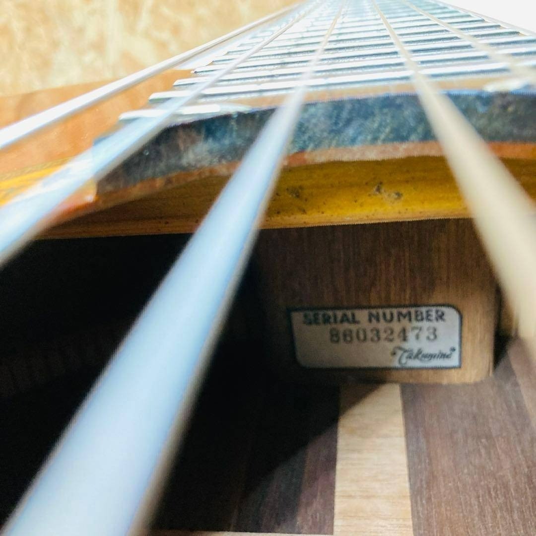TAKAMINE Takamine no.30 classical guitar
