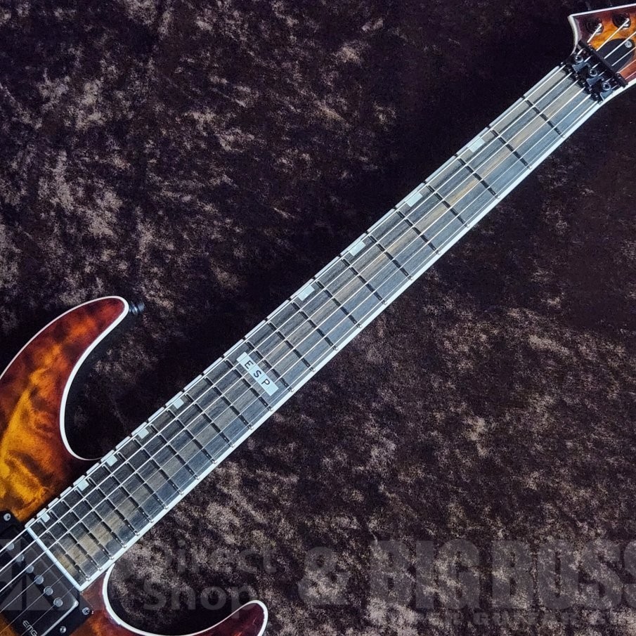 E-II / HORIZON FR-II 【Tiger Eye Sunburst】Electric Guitar