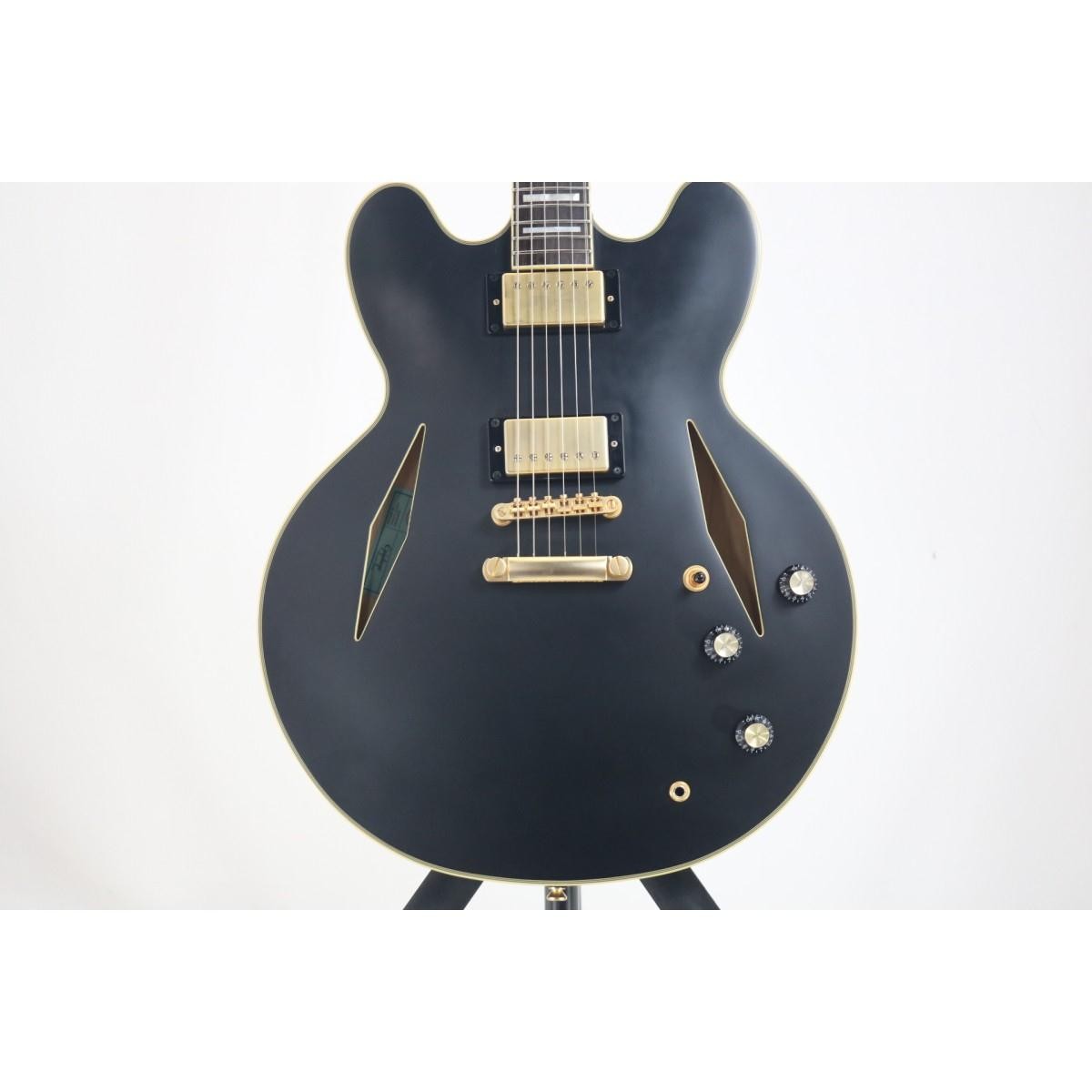 Authentic EPIPHONE EMILY WOLFE SHERATON #270-004-363-4252