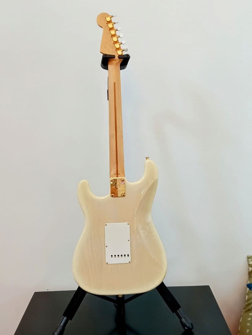 Rare Fender Japan Richie Kotzen Model