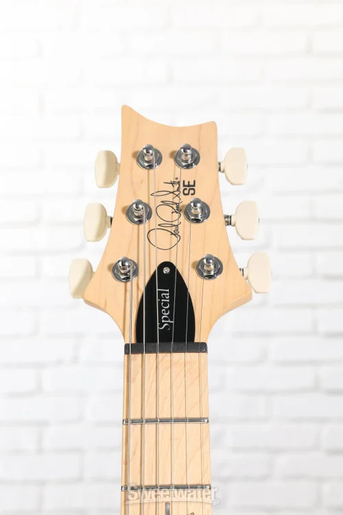 PRS SE Swamp Ash Special Electric Guitar – Iri Blue