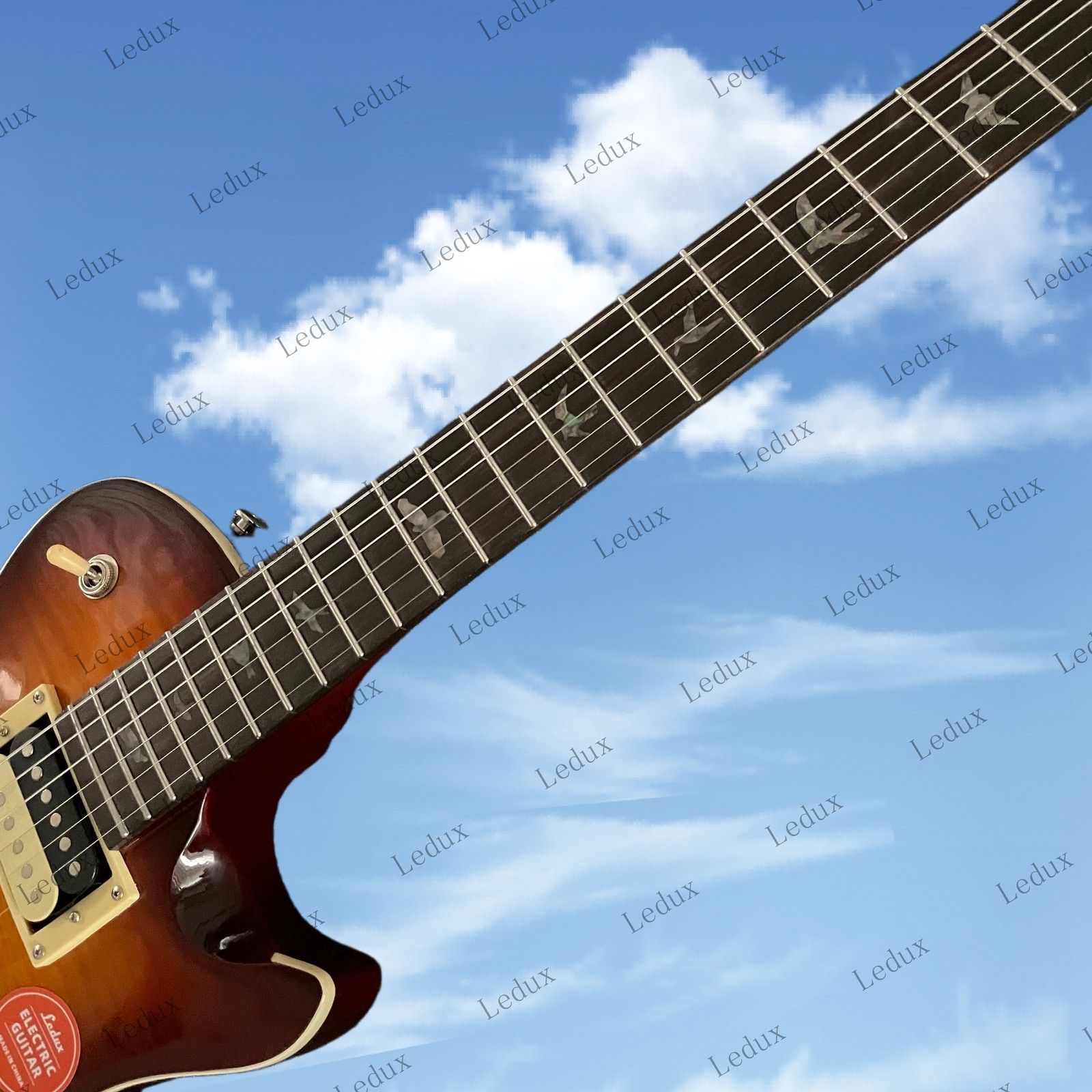 SE Singlecut Solid Body Electric Guitar HH Pickups Stainless Rounded Fret Edge