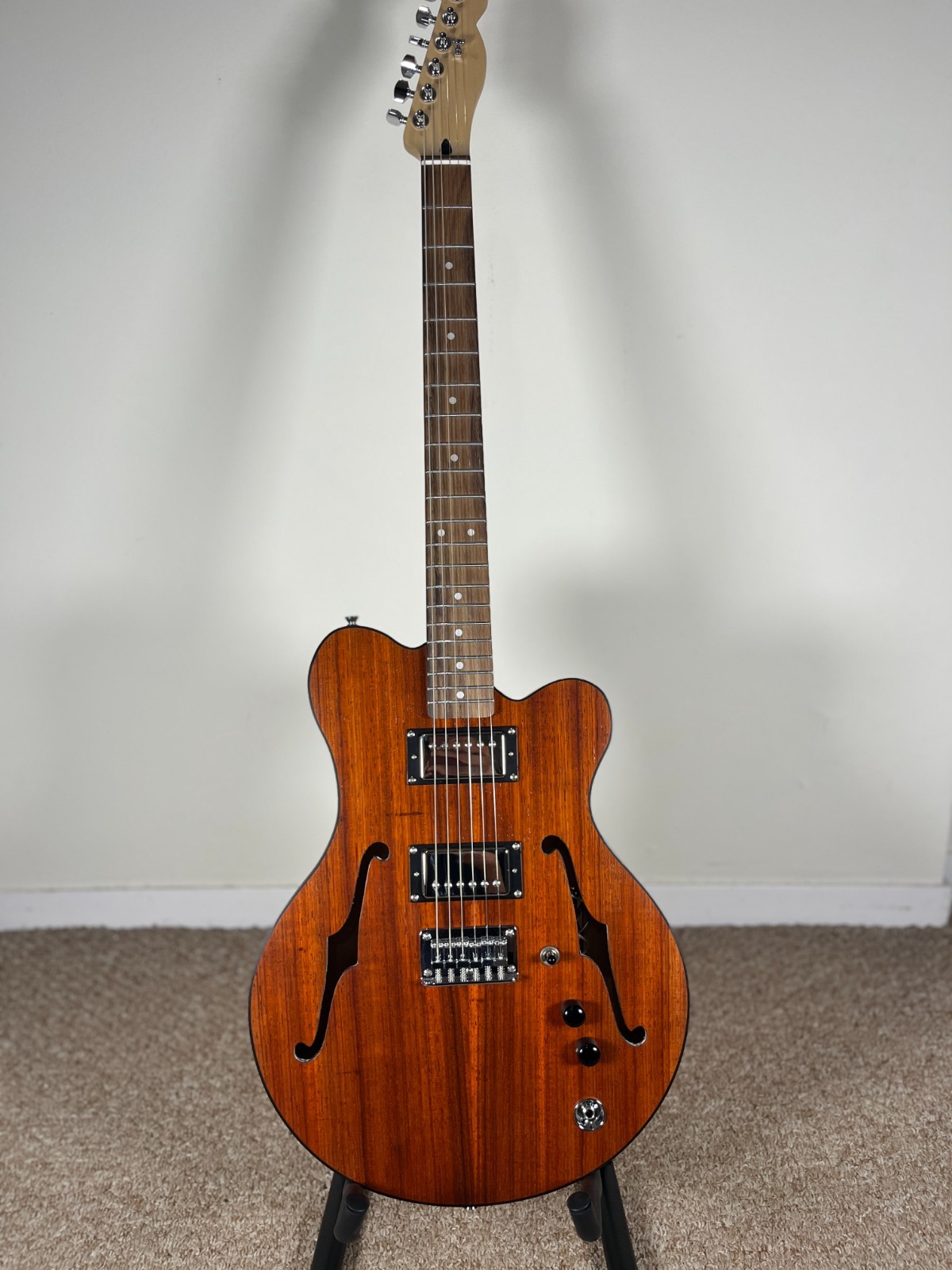 Catalyst – Semi-Hollow Electric Guitar – FREE HARDCASE & SHIP(ES225/Tele hybrid)