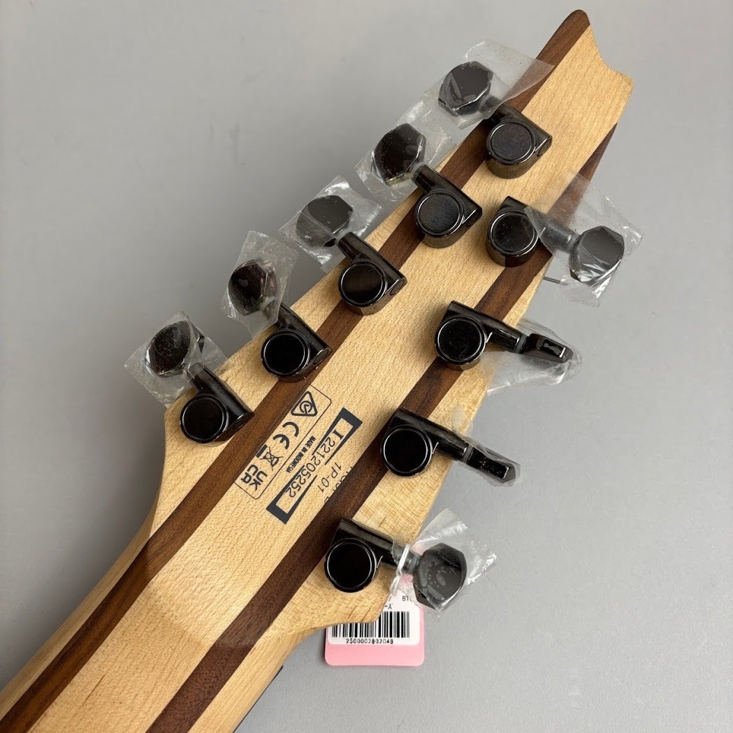 Ibanez RG9PB-TGF (no260205)
