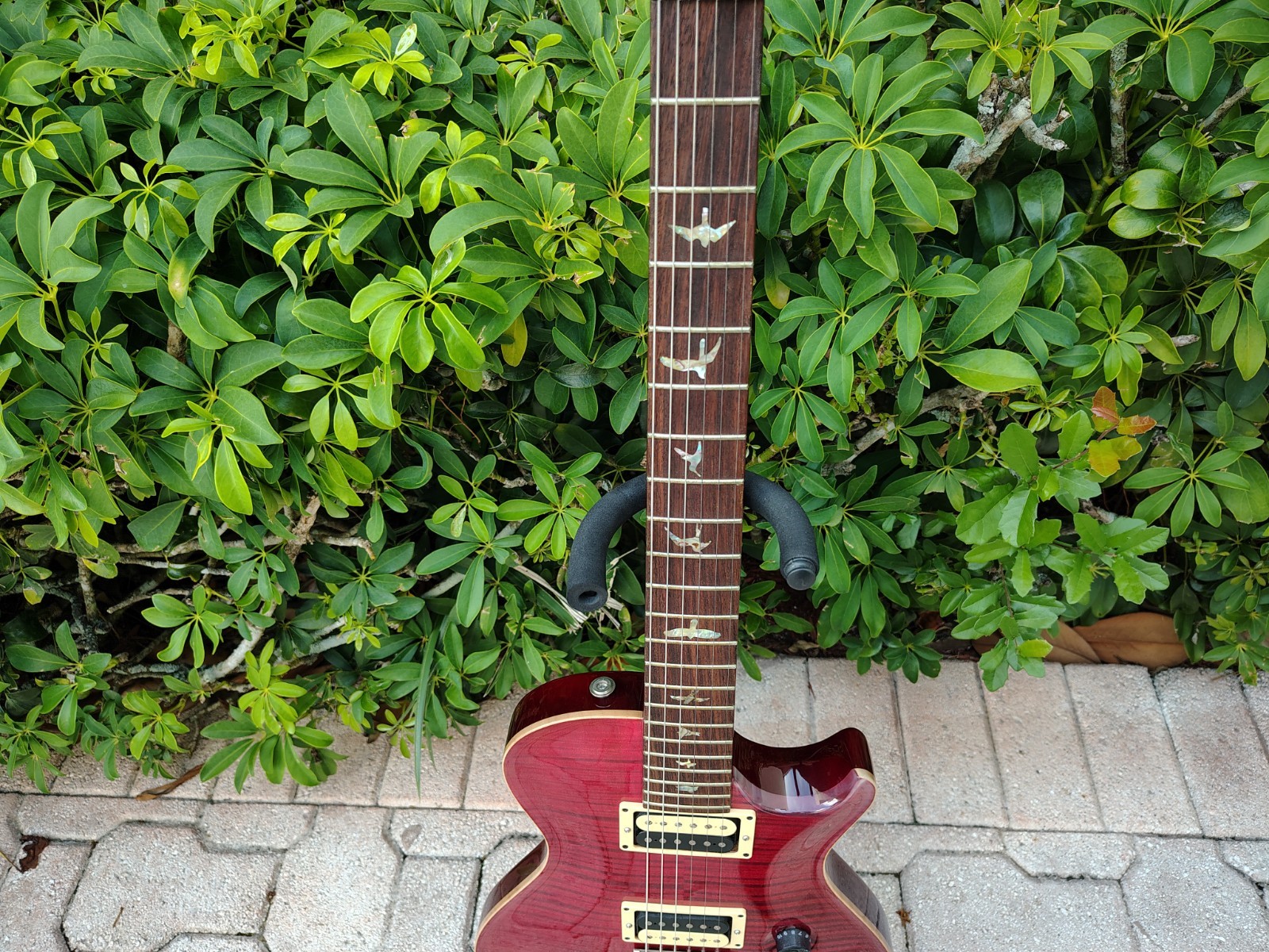2003 PRS Singlecut Trem 10 Top Birds Black Cherry Pre-Lawsuit *UNPLAYED*