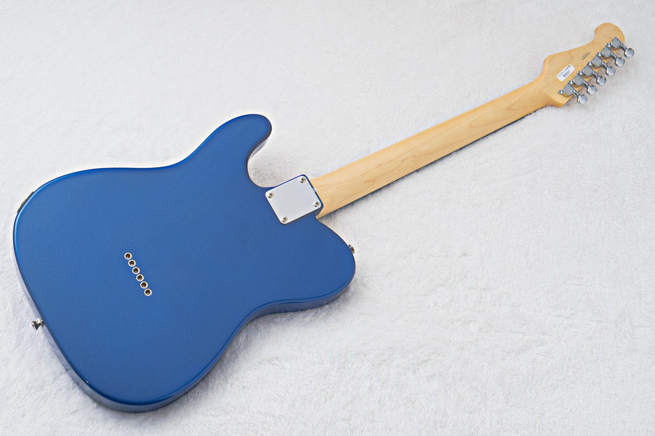 FUJIGEN FGN BCTE100RBD -Metallic Blue- MBL 3.52kg Recommended for beginners!!