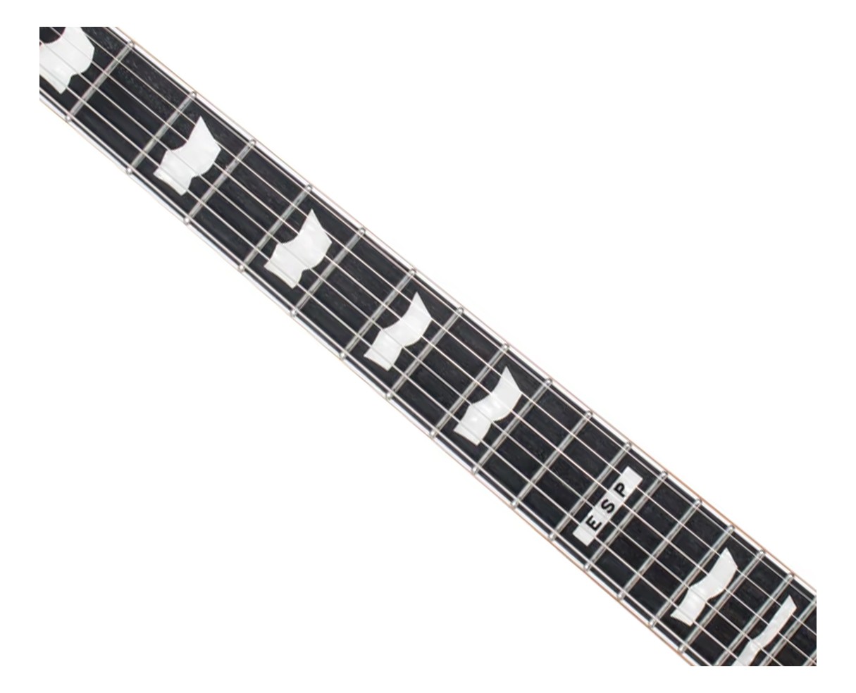 ESP E-II Eclipse DB Electric Guitar – Vintage Black – B-Stock