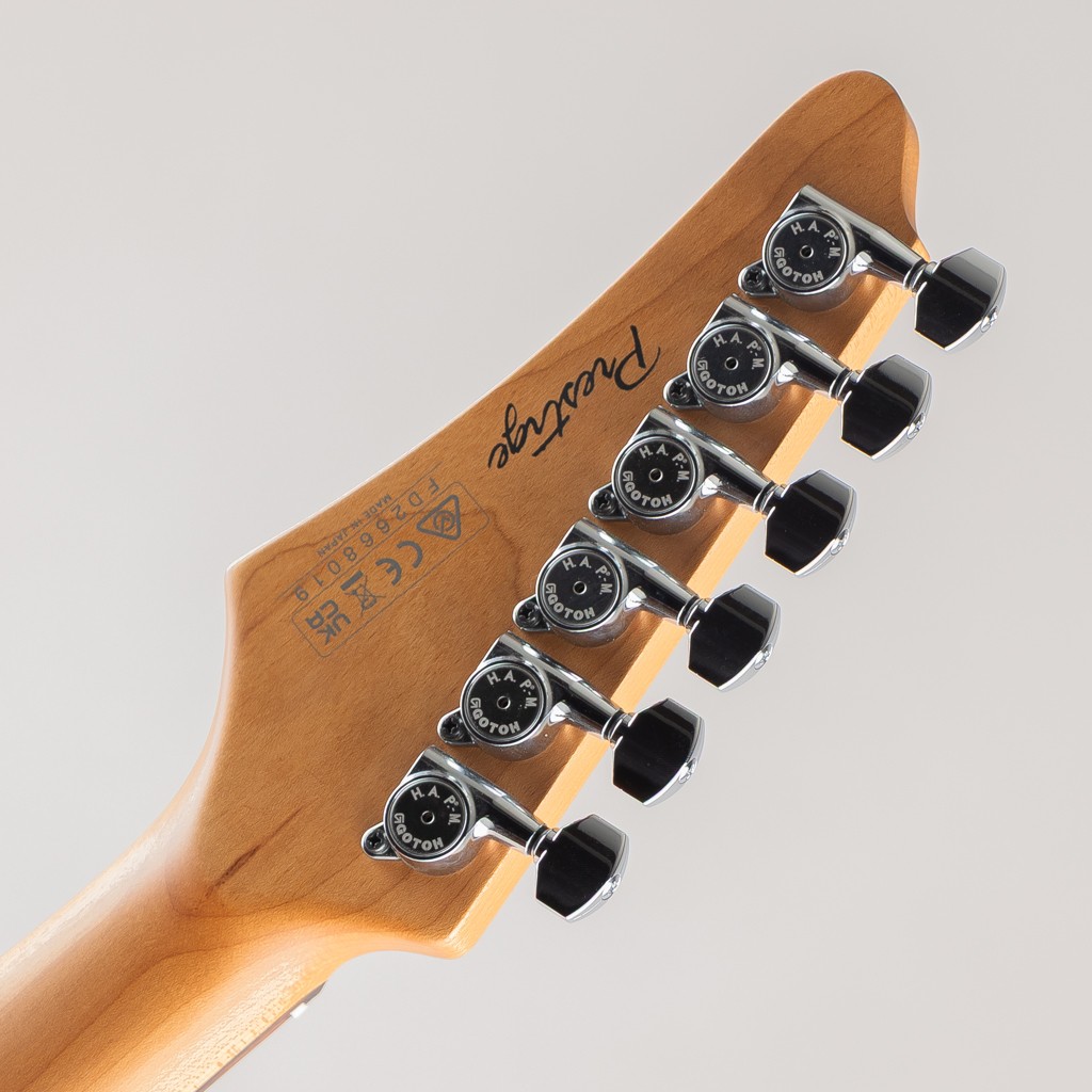 Ibanez AZ2402AR / Coarse Grain White Flat #GG90b