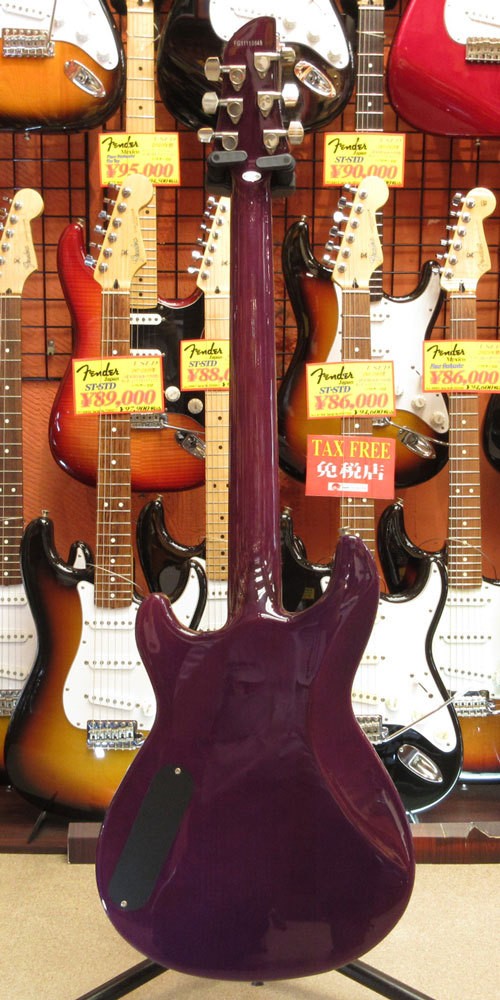 FERNANDES APG Standard (no260621)